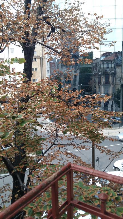 בוקרשט Lorena Apart Old Town מראה חיצוני תמונה